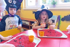 IMG_20250429_074652