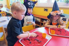 IMG_20250429_074658