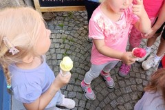 IMG_20250613_103737