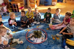IMG_20251113_092649