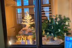 IMG-20221217-WA0002