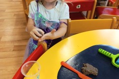 IMG_20250918_081751