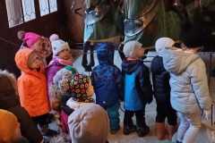IMG-20241203-WA0026