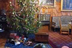 IMG-20241203-WA0037