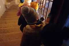 IMG-20241203-WA0040