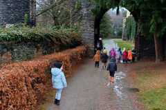 IMG-20241203-WA0050