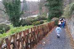 IMG-20241203-WA0052