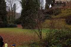 IMG-20241203-WA0053