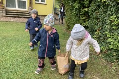 Photo-10.10.2023-10-26-12