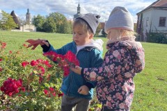 Photo-16.10.2023-10-46-14