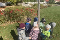 Photo-17.10.2023-11-05-58