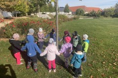 Photo-17.10.2023-11-07-32