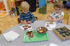 IMG-20241028-WA0026