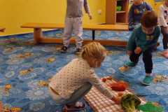 IMG-20241028-WA0029