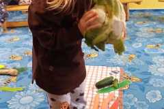 IMG-20241028-WA0030