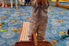IMG-20241028-WA0031