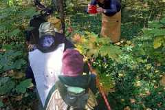 IMG-20241027-WA0010