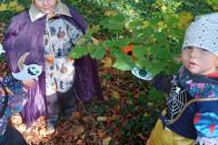 IMG-20241027-WA0012