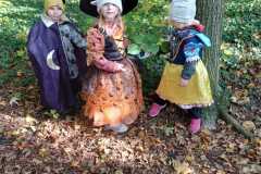 IMG-20241027-WA0013