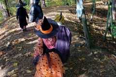 IMG-20241027-WA0015