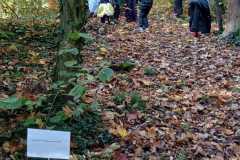 IMG-20241027-WA0017