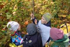 IMG-20241027-WA0018