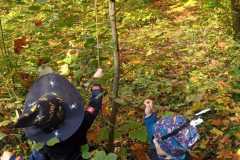 IMG-20241027-WA0019
