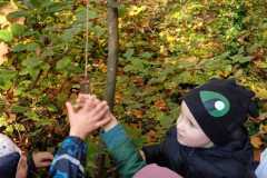IMG-20241027-WA0020