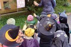 IMG-20241027-WA0026