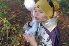 IMG-20241027-WA0033