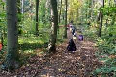 IMG-20241027-WA0034