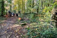 IMG-20241027-WA0035