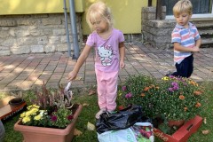 Photo-20.09.2024-10-46-50
