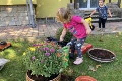 Photo-20.09.2024-11-02-29