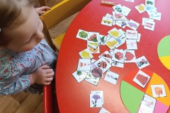 IMG_20250515_080337
