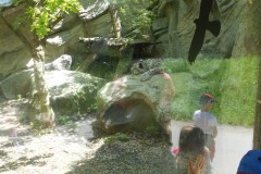DSCN7178