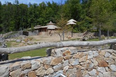 DSCN7194