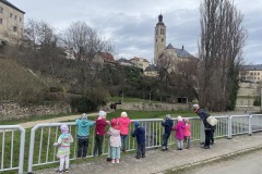 Photo-24.03.2023-10-43-09