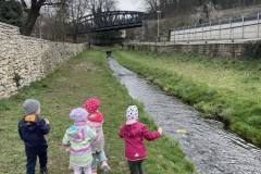 Photo-24.03.2023-10-47-34