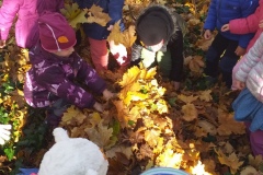 20201119_105606
