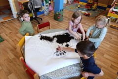 IMG_20250526_074508