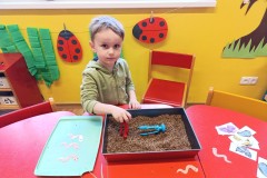 IMG_20250526_075121