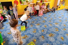 IMG_20250527_092751