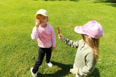 IMG_20250527_100714