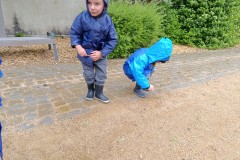IMG_20250528_105753