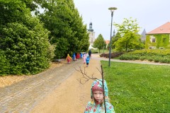 IMG_20250528_105759