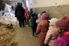 Photo-20.04.2023-10-42-04