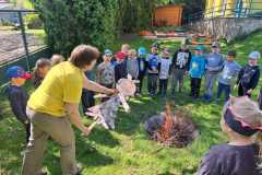 IMG-20250505-WA0015