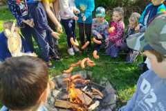 IMG-20250505-WA0020