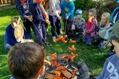 IMG-20250505-WA0023